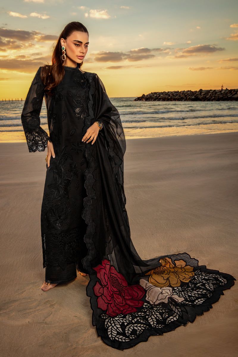 Ranng Rasiya Chikankari Collection