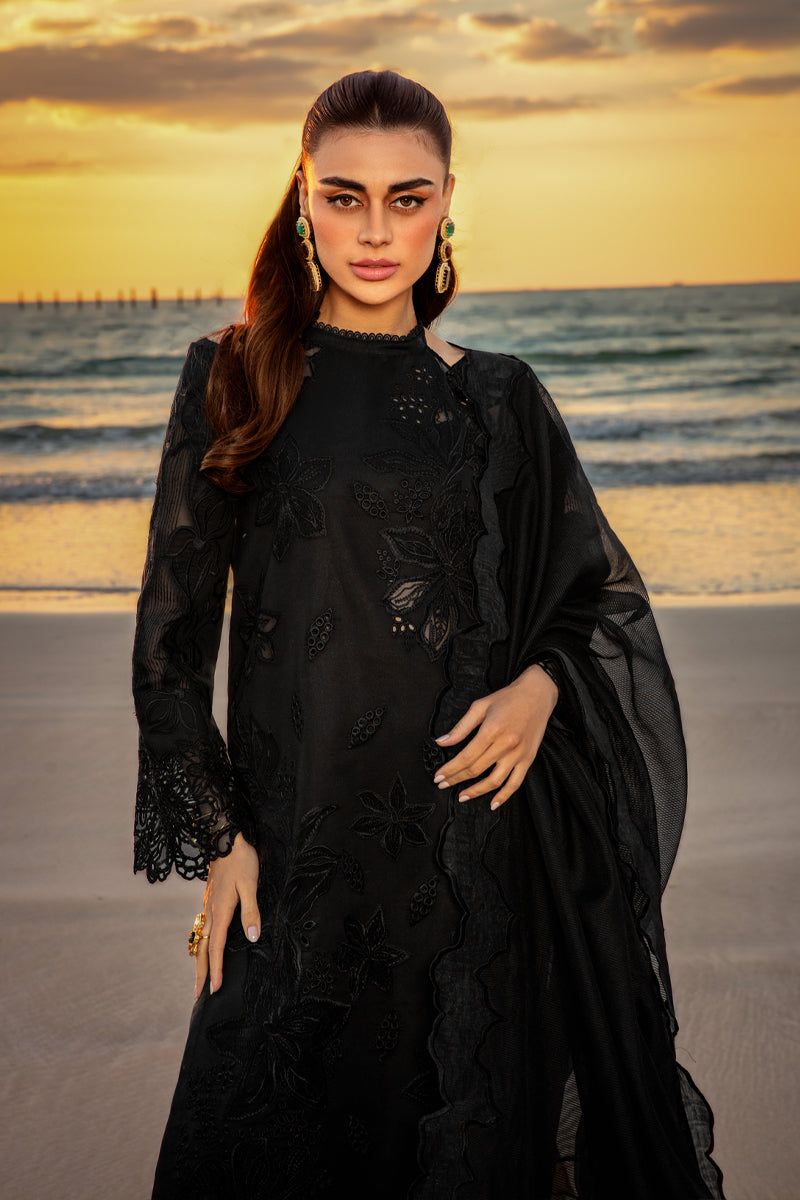 Ranng Rasiya Chikankari Collection