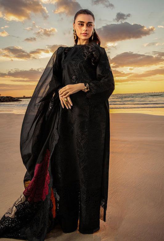 Ranng Rasiya Chikankari Collection