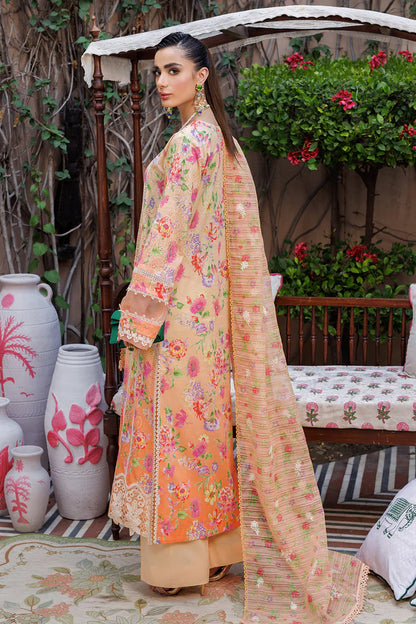 Raj bari Lawn Collection