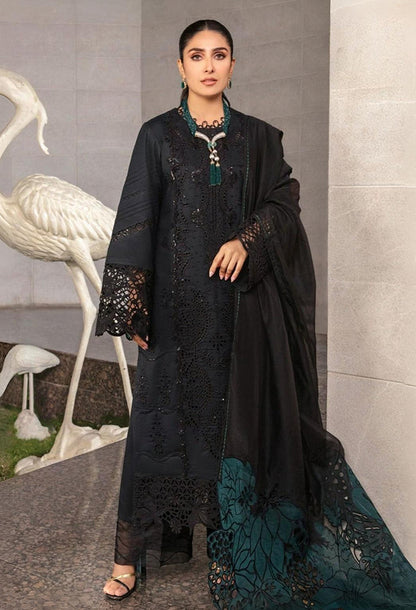 Rang Rasiya Chikankari Lawn Collection