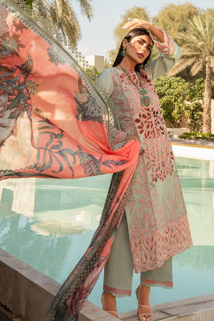 Rang Rasiya Lawn Collection