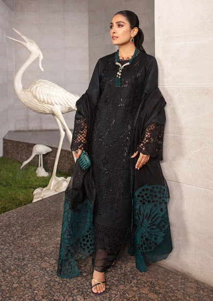 Rang Rasiya Chikankari Lawn Collection
