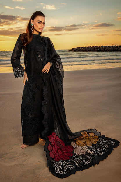 Ranng Rasiya Chikankari Collection