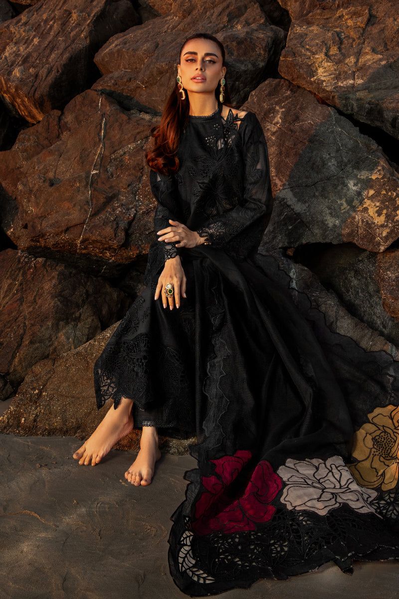 Ranng Rasiya Chikankari Collection