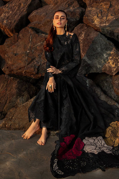 Ranng Rasiya Chikankari Collection